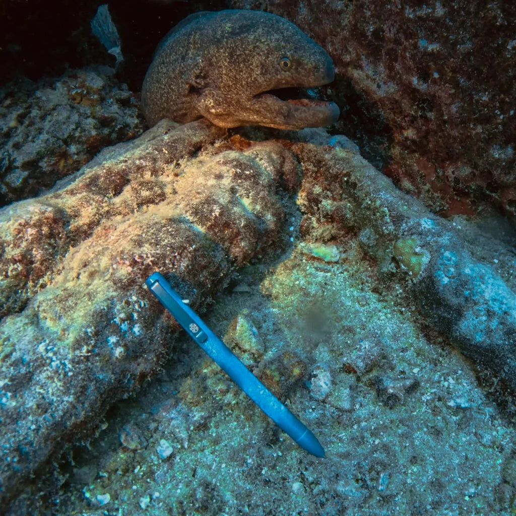 Deep Sea Seasonal Release Switch pen