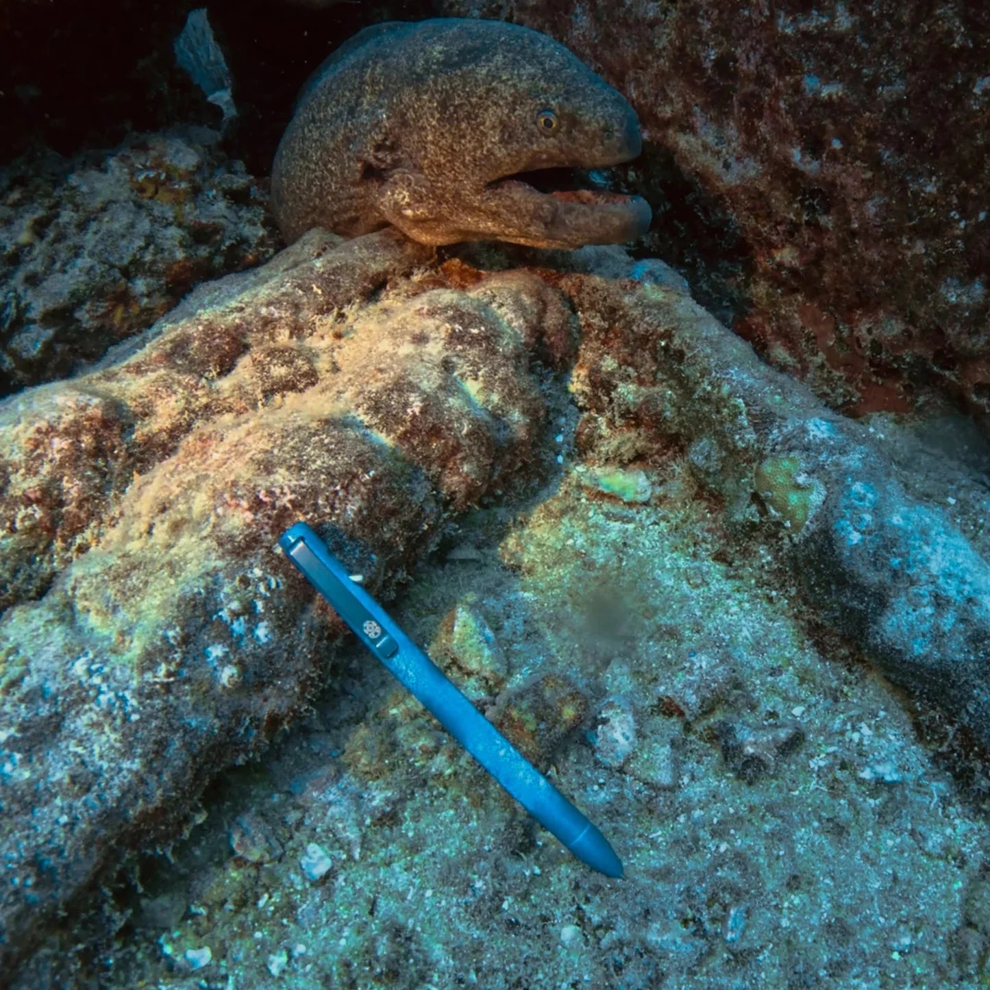 Deep Sea Seasonal Release Switch pen